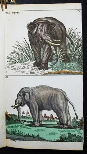 Wilhelm, Naturgeschichte der Säugethiere 1792 VIELE SCHÖNE HANDKOLORIERTE TAFELN