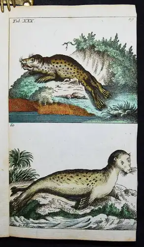 Wilhelm, Naturgeschichte der Säugethiere 1792 VIELE SCHÖNE HANDKOLORIERTE TAFELN