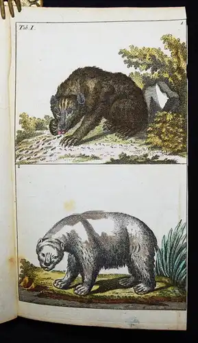 Wilhelm, Naturgeschichte der Säugethiere 1792 VIELE SCHÖNE HANDKOLORIERTE TAFELN