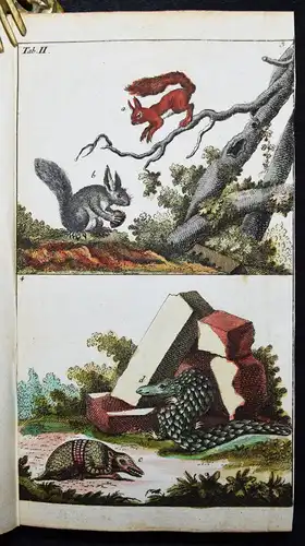 Wilhelm, Naturgeschichte der Säugethiere 1792 VIELE SCHÖNE HANDKOLORIERTE TAFELN