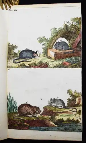 Wilhelm, Naturgeschichte der Säugethiere 1792 VIELE SCHÖNE HANDKOLORIERTE TAFELN