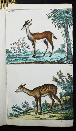 Wilhelm, Naturgeschichte der Säugethiere 1792 VIELE SCHÖNE HANDKOLORIERTE TAFELN