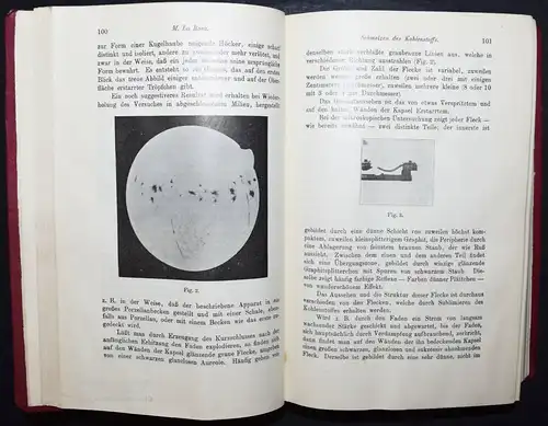 Albert Einstein - Beziehung zwischen dem elastischen Verhalten - 1911