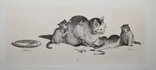 Mind, Der Katzen-Raphael - 1861 - CAT CATS ETCHINGS