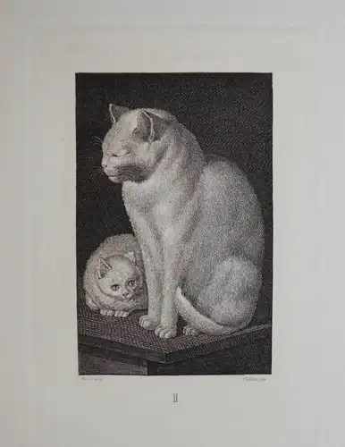 Mind, Der Katzen-Raphael - 1861 - CAT CATS ETCHINGS