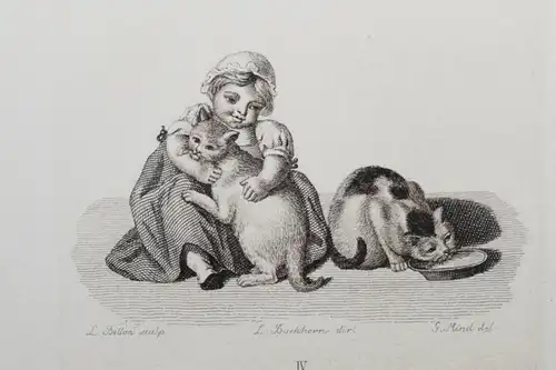 Mind, Der Katzen-Raphael - 1861 - CAT CATS ETCHINGS