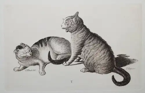 Mind, Der Katzen-Raphael - 1861 - CAT CATS ETCHINGS