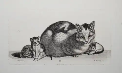 Mind, Der Katzen-Raphael - 1861 - CAT CATS ETCHINGS