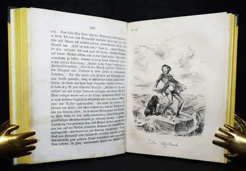 Chamisso – Förster, Peter Schlemihl’s Heimkehr - 1849