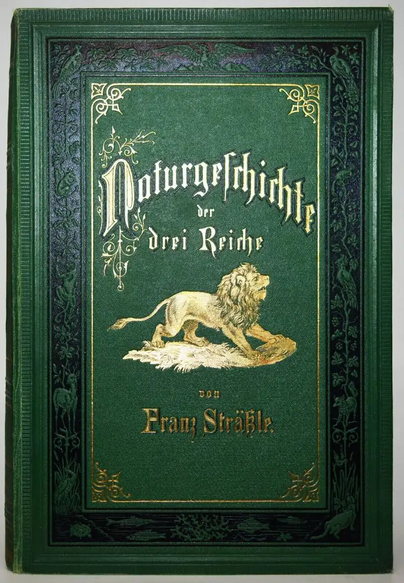 Sträßle, Naturgeschichte aller drei Reiche 1875 ZOOLOGIE AMPHIBIEN ENTOMOLOGIE