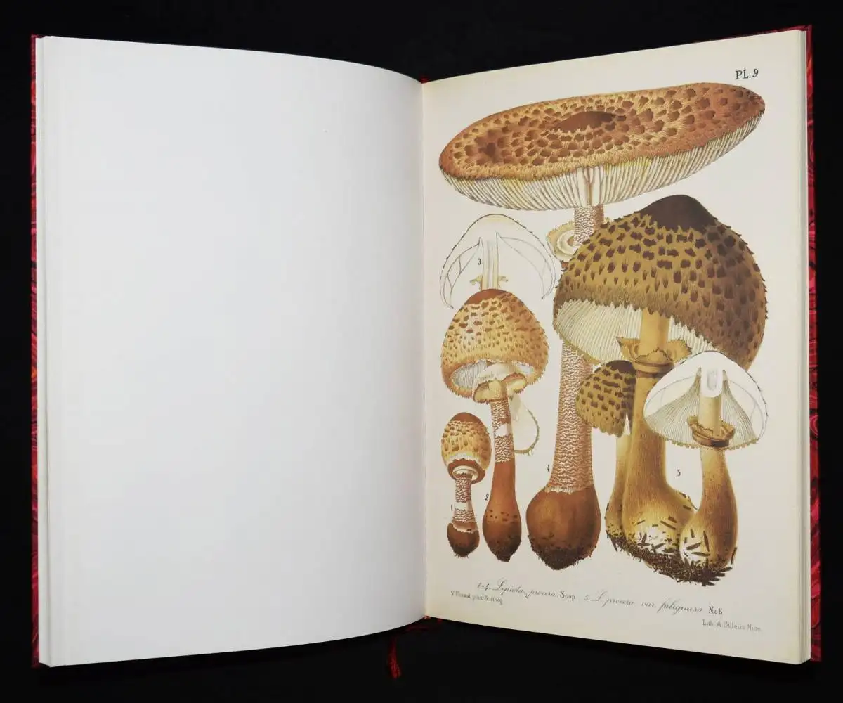 Barla, Flore mycologique illustree: les champignons FAKSIMILE MYCOLOGY PILZE1