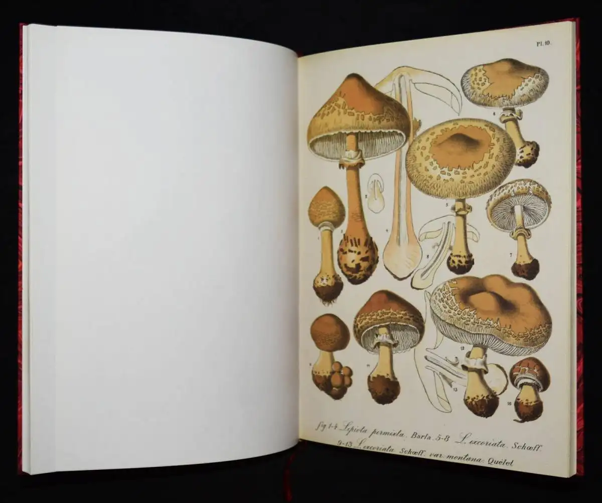 Barla, Flore mycologique illustree: les champignons FAKSIMILE MYCOLOGY PILZE1