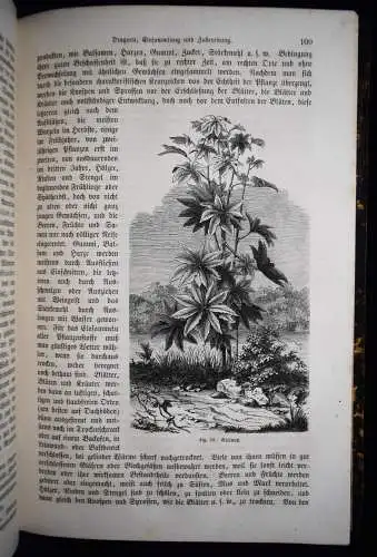 Neues Buch der Erfindungen, Gewerbe und Industrien 1864 LUFTFAHRT EISENBAHN