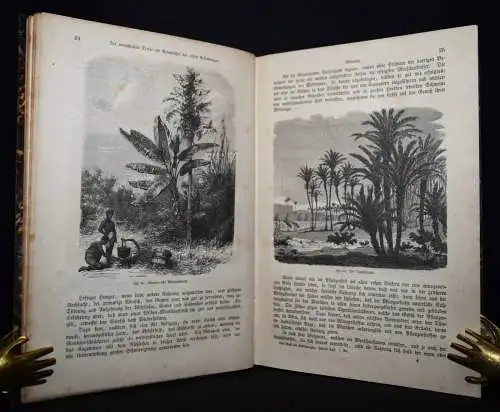 Neues Buch der Erfindungen, Gewerbe und Industrien 1864 LUFTFAHRT EISENBAHN