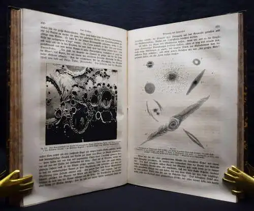 Neues Buch der Erfindungen, Gewerbe und Industrien 1864 LUFTFAHRT EISENBAHN