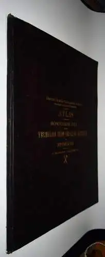 MINNESOTA MINING GEOLOGY 1903 - Clements, Atlas to accompany monograph XLV USA