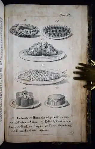 Riedl, Lindauer Kochbuch - 1852 BODENSEE KOCHEN