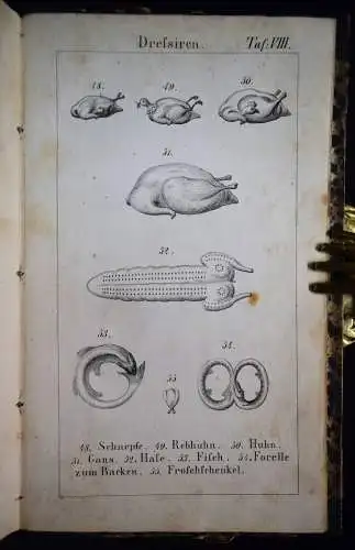 Riedl, Lindauer Kochbuch - 1852 BODENSEE KOCHEN