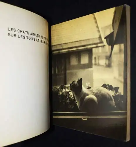 Sougez, Regarde ! 24 Photographies. Editions H. Jonquieres 1931