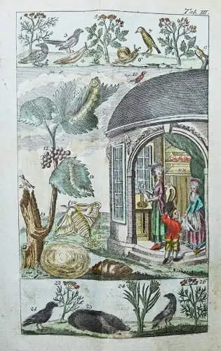 Raff, Naturgeschichte für Kinder - 1803 SCHÖNE KUPFERTAFEL Zoologie Biologie