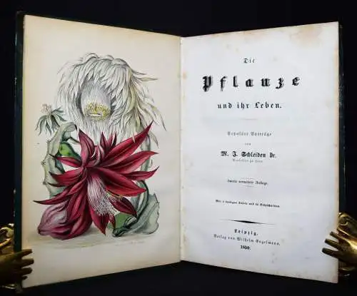 Schleiden. Pflanze und ihr Leben - 1850 HANDKOLORIERTE TAFELN - BOTANIK -BOTANY