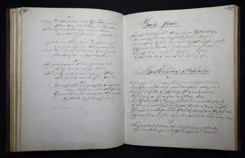 STUDENTICA-HANDSCHRIFT REVOLUTION 1848 VORMÄRZ Gugel, Gedichte STAMMBUCH LYRIK