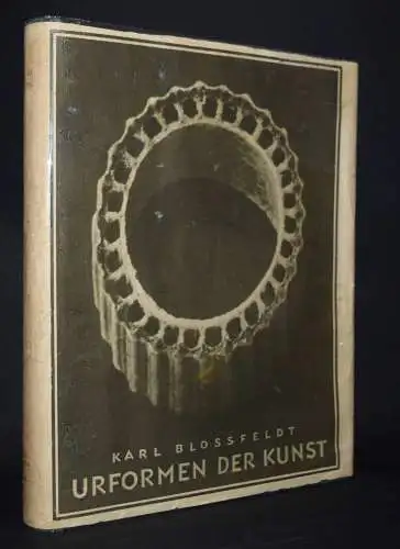 Blossfeldt. Urformen der Kunst - 1928 ERSTE AUSGABE NEUE SACHLICHKEIT WASMUTH