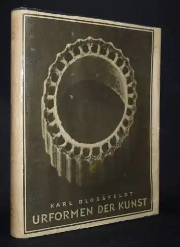 Karl Blossfeldt. Urformen der Kunst - 1928 SCHUTZUMSCHLAG - NEUE SACHLICHKEIT