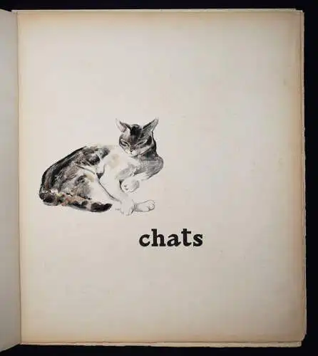 Nam, Chats - 1935 UNIKAT ! SIGNIERT 6 ORIG.-AQUARELLE 5 ORIG.-RADIERUNGEN KATZEN