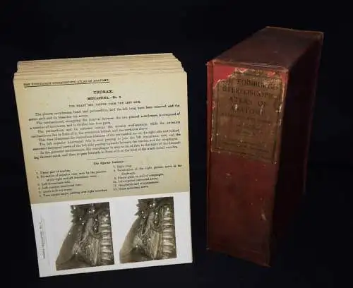 STEREOPHOTOGRAPHIE Waterston, The Edinburgh Stereoscopic Atlas of Anatomy THORAX