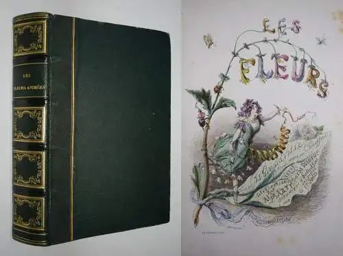 Delord, Les fleurs animées par J.-J.Grandville -  1847 FLOWERS BULMEN BOTANY