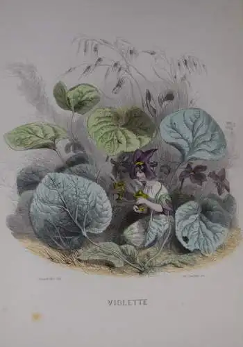 Delord, Les fleurs animées par J.-J.Grandville -  1847 FLOWERS BULMEN BOTANY