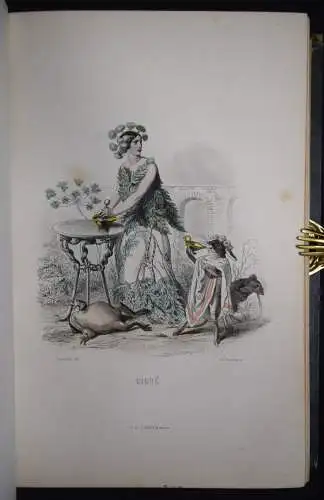 Delord, Les fleurs animées par J.-J.Grandville -  1847 FLOWERS BULMEN BOTANY