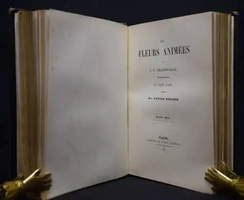 Delord, Les fleurs animées par J.-J.Grandville -  1847 FLOWERS BULMEN BOTANY