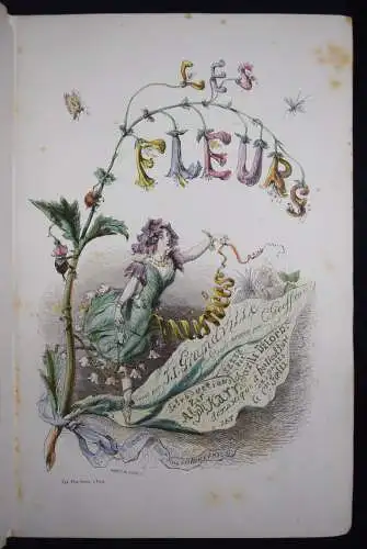 Delord, Les fleurs animées par J.-J.Grandville -  1847 FLOWERS BULMEN BOTANY