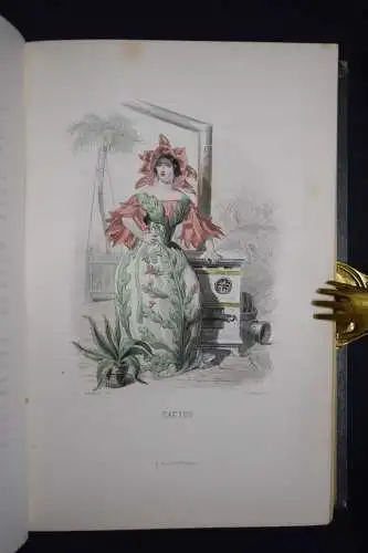 Delord, Les fleurs animées par J.-J.Grandville -  1847 FLOWERS BULMEN BOTANY