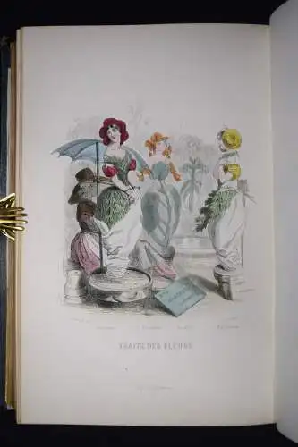 Delord, Les fleurs animées par J.-J.Grandville -  1847 FLOWERS BULMEN BOTANY