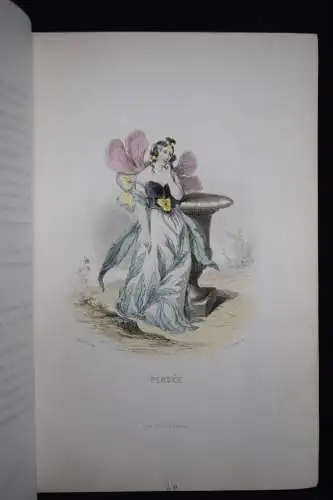 Delord, Les fleurs animées par J.-J.Grandville -  1847 FLOWERS BULMEN BOTANY