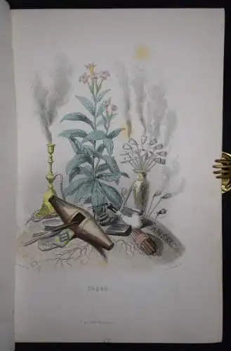 Delord, Les fleurs animées par J.-J.Grandville -  1847 FLOWERS BULMEN BOTANY