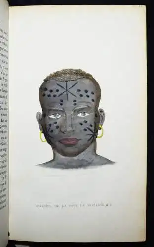 INDIANER EINGEBORENE 1843 ETHNOLOGIE Prichard, Histoire naturelle de l’homme