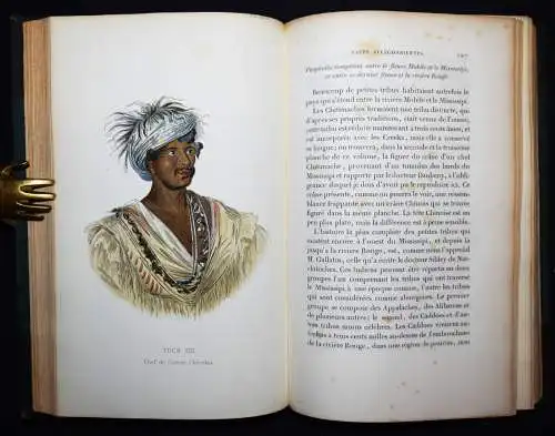 INDIANER EINGEBORENE 1843 ETHNOLOGIE Prichard, Histoire naturelle de l’homme