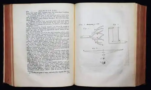 Boissier de la Croix de Sauvages, Nosologia methodica - 1768 BOTANY BOTANIK