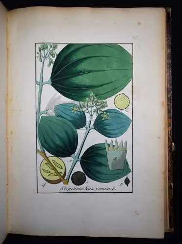 Winkler, Handbuch der Gewächskunde - 1850 BOTANIK PHARMAZIE