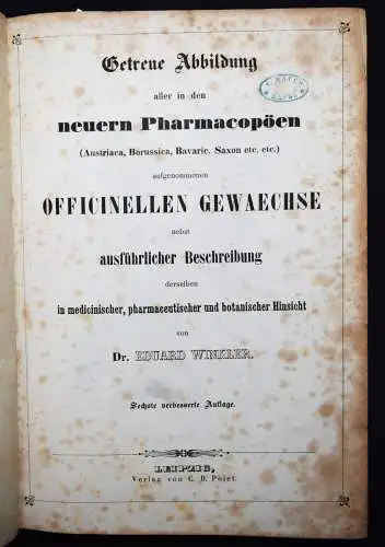 Winkler, Handbuch der Gewächskunde - 1850 BOTANIK PHARMAZIE