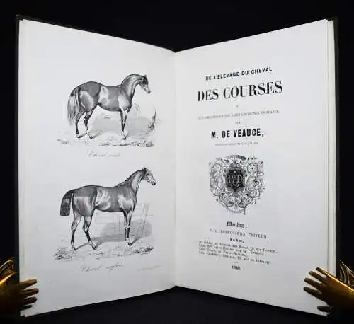 Veauce, De l’élevage du cheval, des courses…1848 Erste Ausgabe PFERDE REITEN