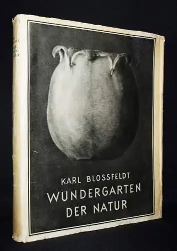 Karl Blossfeldt. Wundergarten der Natur - 1932 mit Orig.-Schutzumschlag