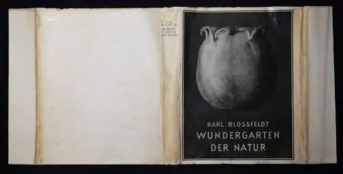 Karl Blossfeldt. Wundergarten der Natur - 1932 mit Orig.-Schutzumschlag