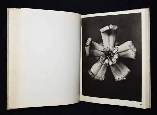 Karl Blossfeldt. Wundergarten der Natur - 1932 mit Orig.-Schutzumschlag