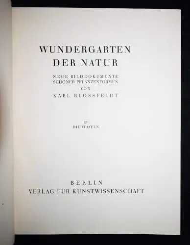 Karl Blossfeldt. Wundergarten der Natur - 1932 mit Orig.-Schutzumschlag