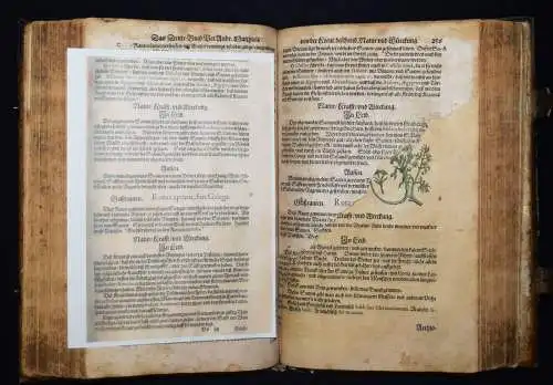 KRÄUTERBUCH 1586 ~800 HANKOLORIERTE HOLZSCHNITTE Matthioli, Kreutterbuch BOTANIK